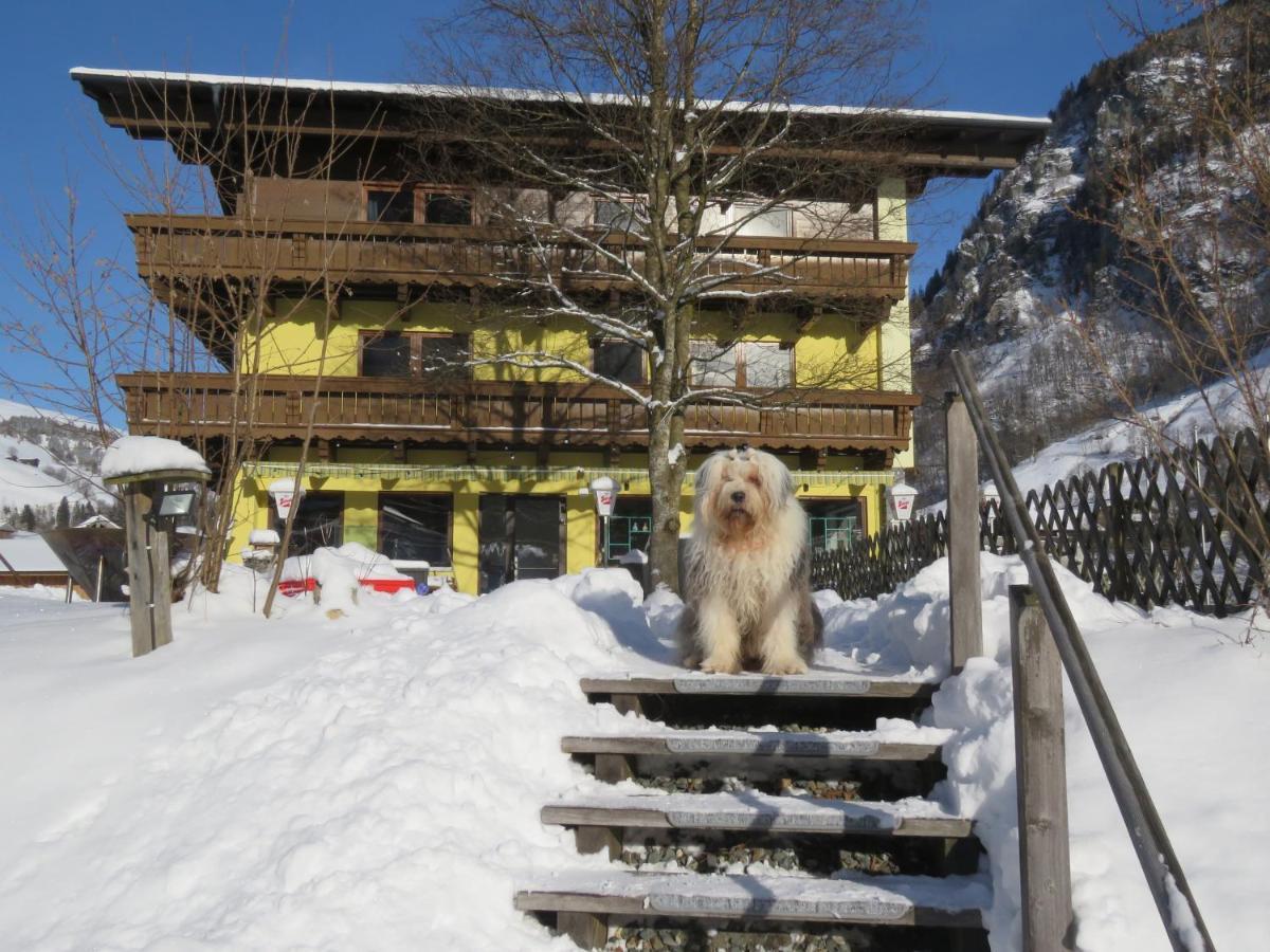 Alpenhaus Denver انتدورف المظهر الخارجي الصورة