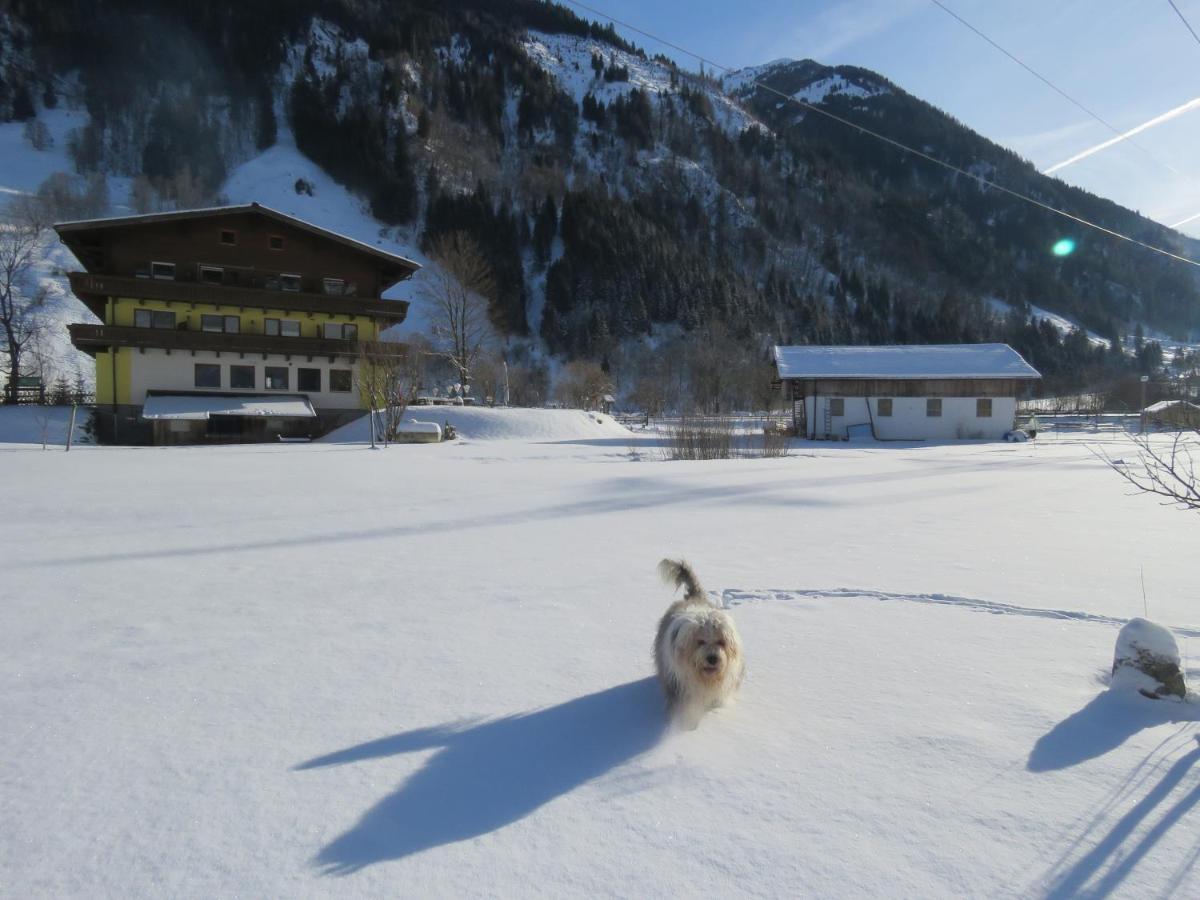 Alpenhaus Denver انتدورف المظهر الخارجي الصورة